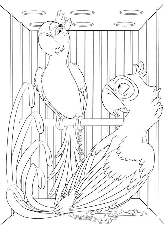 coloriage rio blu et perla en cage
